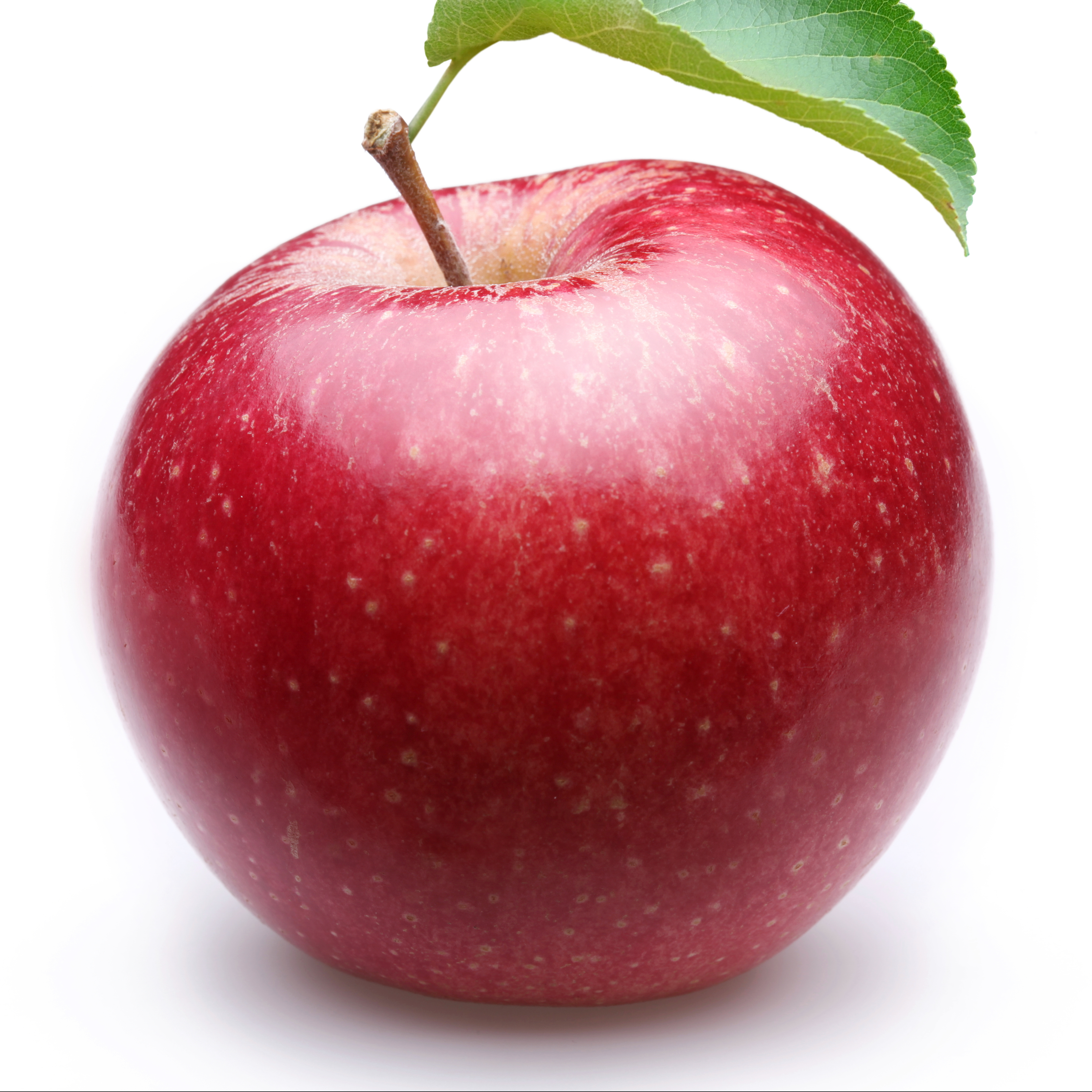 Apple Window Washing